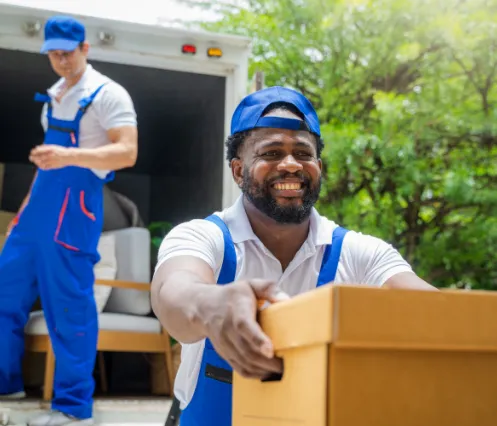 mover carrying box