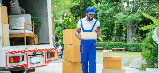 mover carrying box
