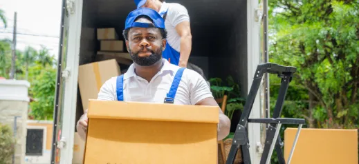 mover carrying box